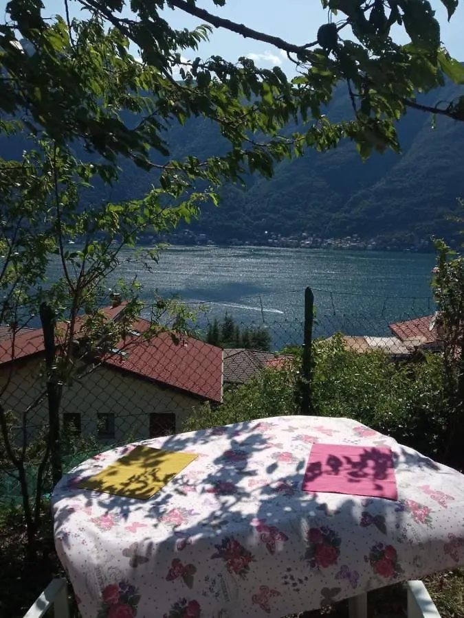 Reginaldo'S Home Nesso