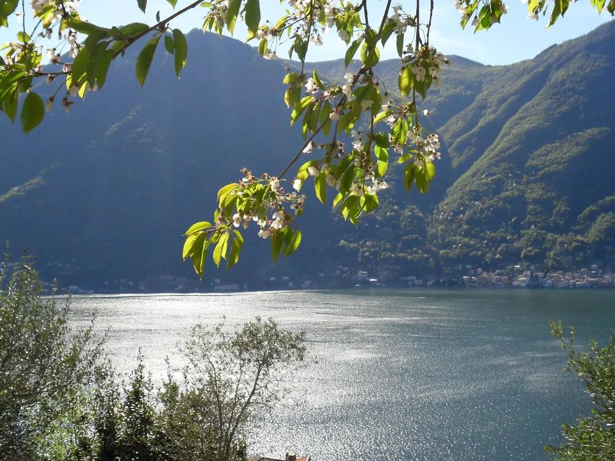 Reginaldo'S Home Nesso