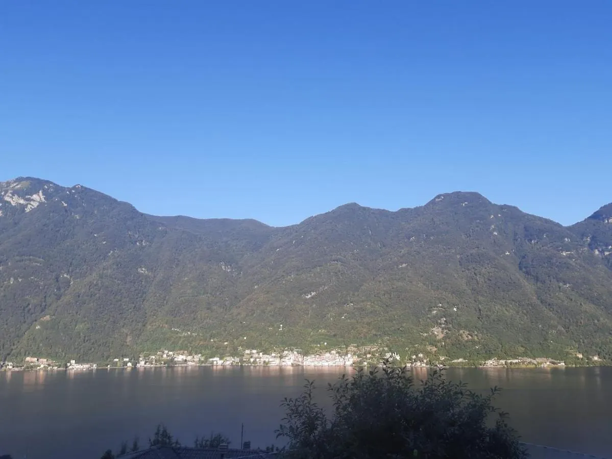 Reginaldo'S Home Nesso